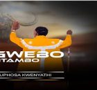 Sgwebo Sentambo - Yini Eniyibanga noZuma (feat. Shenge waseHlalankosi)