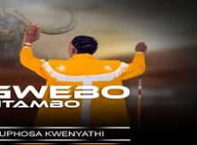 Sgwebo Sentambo - Yini Eniyibanga noZuma (feat. Shenge waseHlalankosi)