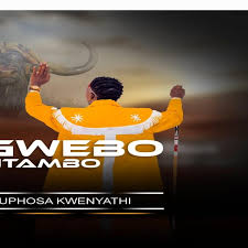 Sgwebo Sentambo - Yini Eniyibanga noZuma (feat. Shenge waseHlalankosi)
