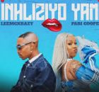 Simmy - inhliziyo yami