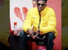 Sqiniseko SqinQ – Umjolo ft. Naledi Aphiwe & Duncan Skuva