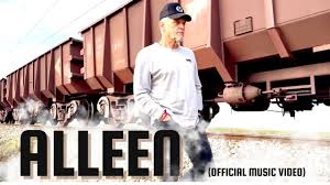 Steve Hofmeyr - ALLEEN