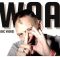 Steve Hofmeyr - Dwaas