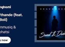 Thatohatsi - Ngi'k Thande (ft. NVM CPT & Cowboii)