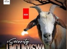 Umdunyiswa – Emhlanga (feat. Luve Dubazane)