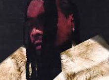 Wale - Everything Is a Lot Album