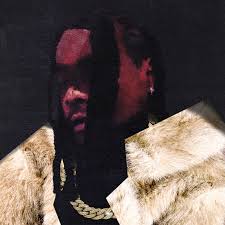 Wale - Everything Is a Lot Album