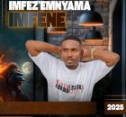Imfezemnyama - Imfene Album