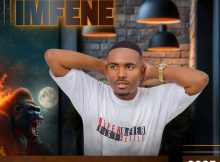 Imfezemnyama - Imfene Album