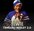 Newie - Tshigubu Medley 2.0 (Live)