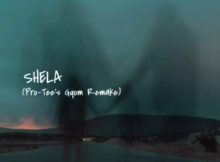 PRO TEE - Shela (Pro-Tee's Gqom Remake)