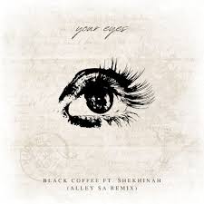 Black Coffee - Your Eyes ft. Shekhinah (Alley SA Remix)