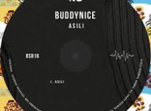 EP: Buddynice – Asili