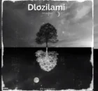 DJSkapter – DLozilami feat. JAZZWRLD, Thukuthela, Zee Nxumalo, Babalwa M, Kelvin Momo, Major league djz