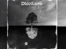 DJSkapter – DLozilami feat. JAZZWRLD, Thukuthela, Zee Nxumalo, Babalwa M, Kelvin Momo, Major league djz