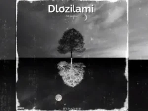 DJSkapter – DLozilami feat. JAZZWRLD, Thukuthela, Zee Nxumalo, Babalwa M, Kelvin Momo, Major league djz