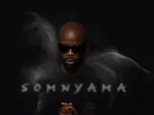 Dark Horse – Intsimbi Zabelungu