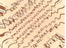 Dee Cee & NativeSon SA – Hosannah