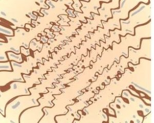 Dee Cee & NativeSon SA – Hosannah