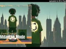 Deejay Zebra SA - Mdantso Mode