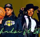 Dr Skaro & Vsixbeats – December Emonate ft Shandesh & Makhadzi