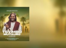Hulengende - Ndine Nyota (Tsvimbo Mutauro Album)