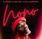 Q-Mark, Sir Jay Lute & D’Patch – NONO (feat. Slick Widit, Fargo Trance & DJY SENI)