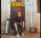 Tribesoul – Woza Cartel ft. LowBass Djy & HouseXcape