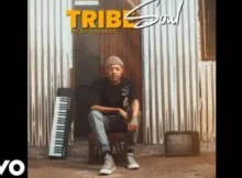 Tribesoul – Woza Cartel ft. LowBass Djy & HouseXcape