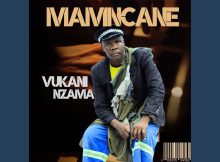 Vukani nzama - Mamncane