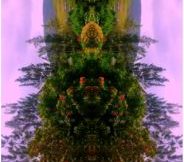 Yimi! – unicorn park