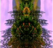 Yimi! – unicorn park