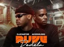 Akiidmusiq & Djknator – Emotional Damage