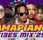 BIGSWAGZ - AMAPIANO MIX 2025 Album