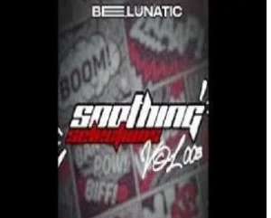 Bee Lunatic – Soothing Selections Vol. 003 (100% Production Mix)