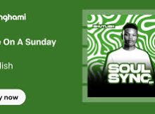 Bhutlish – Wine On A Sunday