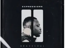 BraveSoul & Soul K – Seasons Change (Afro Latina)