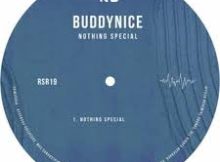 Buddynice – Nothing Special