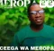 Ceega – Meropa 227 (We Love Mzansi House)