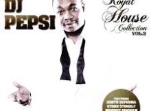 DJ Pepsi ft Monique Bingham - Pride