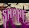 DJ Sliqe, Blxckie, Issi & Kindlynxsh - Shake