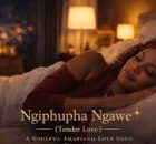 DJ Zett - Ngiphupha Ngawe (I'm dreaming of you) Soulful Amapiano Love Song Late Night Romantic Vibes