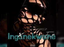 DJSkapter – Ingunekwane feat. Jazzworx, Thukuthela, Dlala thukzin,Umafikizolo, Feza & Zee Nxumalo