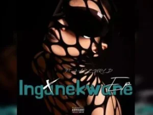 DJSkapter – Ingunekwane feat. Jazzworx, Thukuthela, Dlala thukzin,Umafikizolo, Feza & Zee Nxumalo