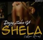 Deejay Zebra SA - Shela (Gqom Remix)