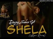Deejay Zebra SA - Shela (Gqom Remix)