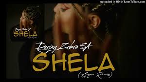 Deejay Zebra SA - Shela (Gqom Remix)