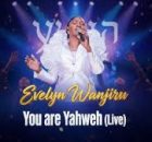 Evelyn Wanjiru – You Are Yahweh (Live Worship)