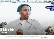 Felo Le Tee – Flying Fish Amapiano Mix
