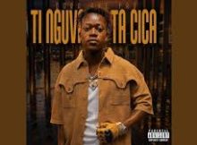 Gogo the pro - Swilo swa cica (feat. Metrobeats)